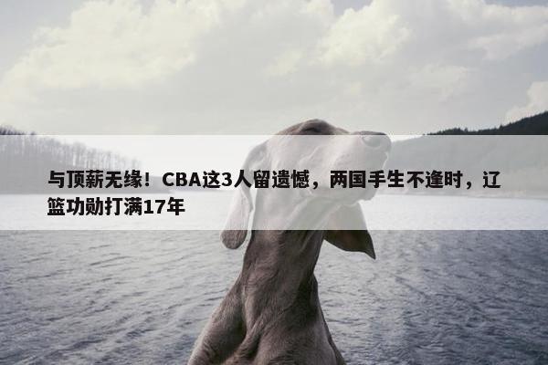 与顶薪无缘！CBA这3人留遗憾，两国手生不逢时，辽篮功勋打满17年