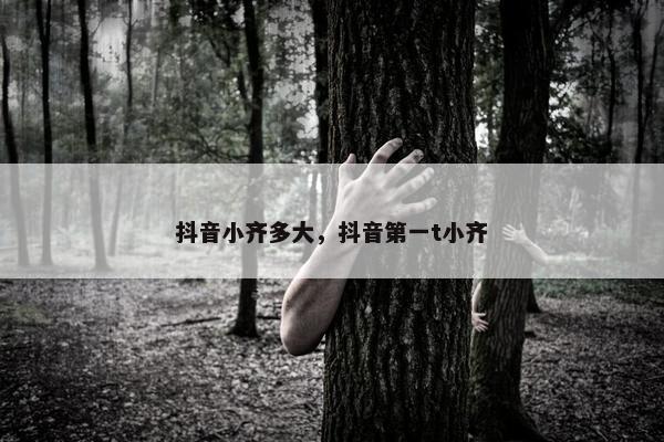 抖音小齐多大，抖音第一t小齐