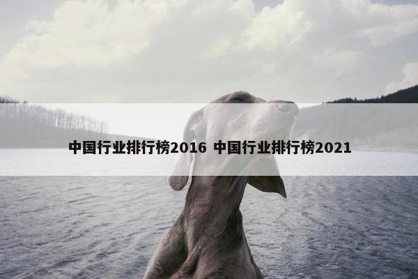 中国行业排行榜2016 中国行业排行榜2021