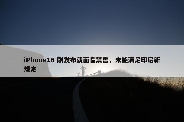 iPhone16 刚发布就面临禁售，未能满足印尼新规定