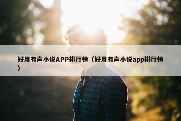 好用有声小说APP排行榜（好用有声小说app排行榜）