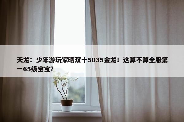 天龙：少年游玩家晒双十5035金龙！这算不算全服第一65级宝宝？