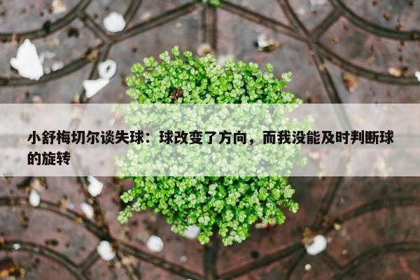 小舒梅切尔谈失球：球改变了方向，而我没能及时判断球的旋转