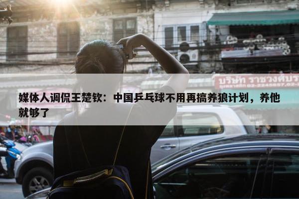 媒体人调侃王楚钦：中国乒乓球不用再搞养狼计划，养他就够了