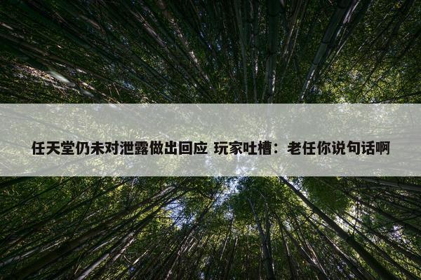 任天堂仍未对泄露做出回应 玩家吐槽：老任你说句话啊