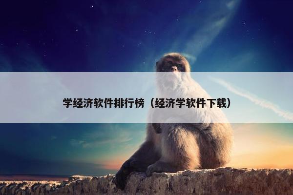 学经济软件排行榜（经济学软件下载）