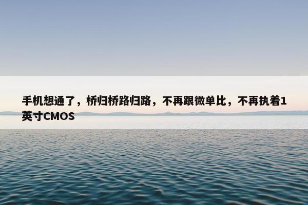 手机想通了，桥归桥路归路，不再跟微单比，不再执着1英寸CMOS