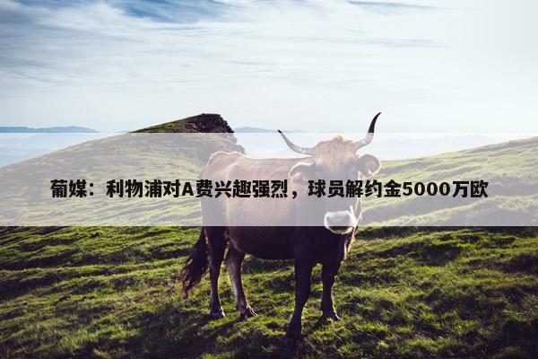 葡媒：利物浦对A费兴趣强烈，球员解约金5000万欧