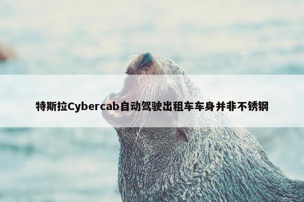 特斯拉Cybercab自动驾驶出租车车身并非不锈钢