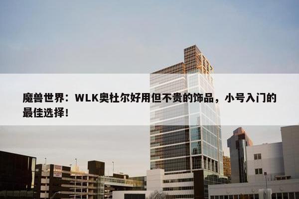 魔兽世界：WLK奥杜尔好用但不贵的饰品，小号入门的最佳选择！