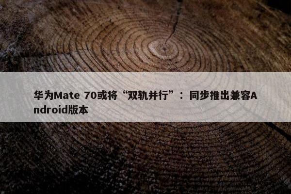 华为Mate 70或将“双轨并行”：同步推出兼容Android版本