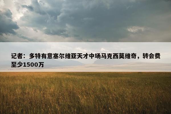 记者：多特有意塞尔维亚天才中场马克西莫维奇，转会费至少1500万