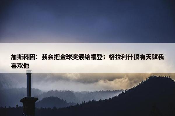 加斯科因：我会把金球奖颁给福登；格拉利什很有天赋我喜欢他