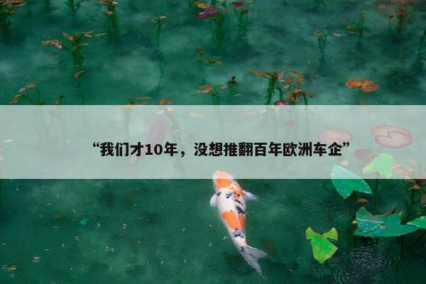 “我们才10年，没想推翻百年欧洲车企”