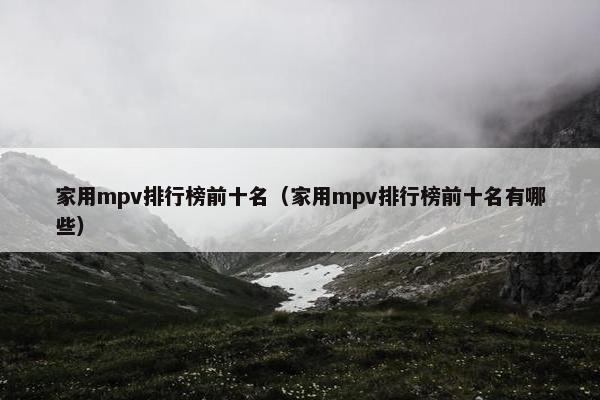 家用mpv排行榜前十名（家用mpv排行榜前十名有哪些）