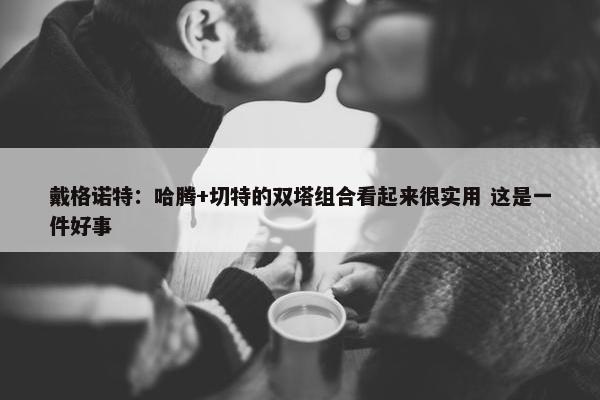 戴格诺特：哈腾+切特的双塔组合看起来很实用 这是一件好事