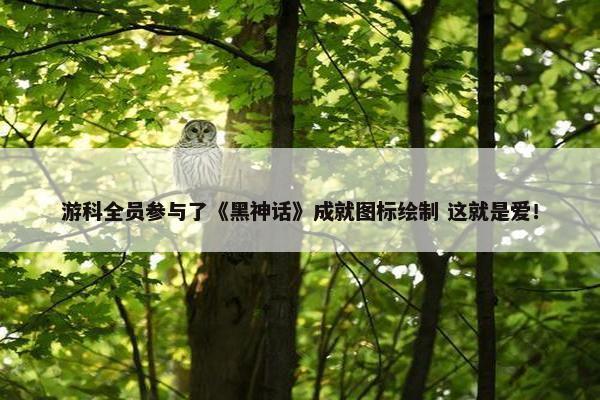 游科全员参与了《黑神话》成就图标绘制 这就是爱！