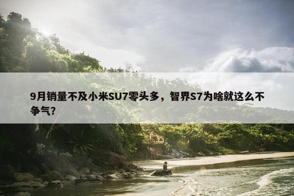 9月销量不及小米SU7零头多，智界S7为啥就这么不争气？