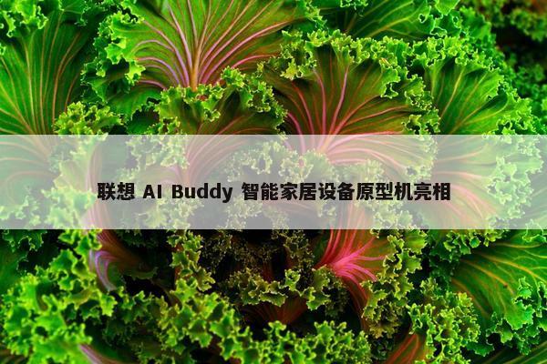 联想 AI Buddy 智能家居设备原型机亮相