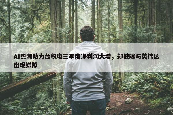 AI热潮助力台积电三季度净利润大增，却被曝与英伟达出现嫌隙