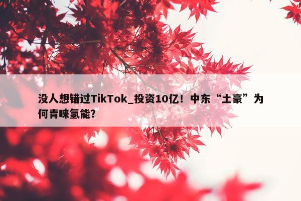 没人想错过TikTok_投资10亿！中东“土豪”为何青睐氢能？