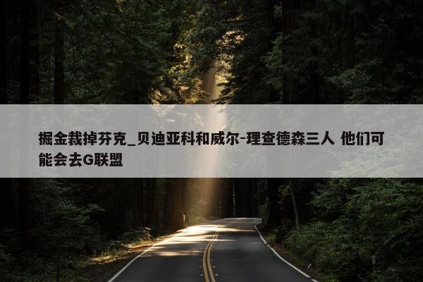 掘金裁掉芬克_贝迪亚科和威尔-理查德森三人 他们可能会去G联盟