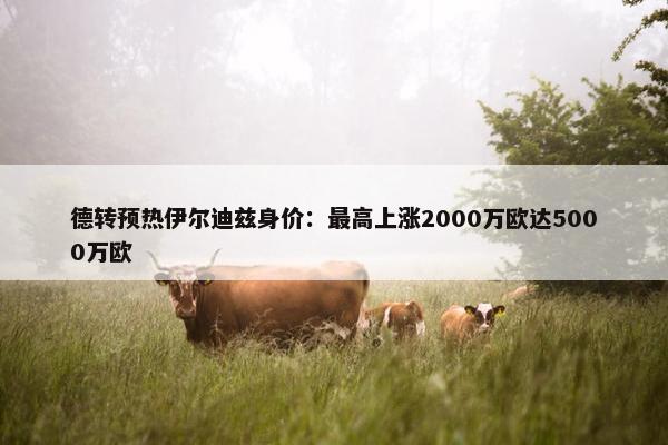 德转预热伊尔迪兹身价：最高上涨2000万欧达5000万欧