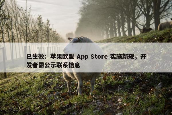 已生效：苹果欧盟 App Store 实施新规，开发者需公示联系信息