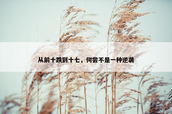 从前十跌到十七，何尝不是一种逆袭