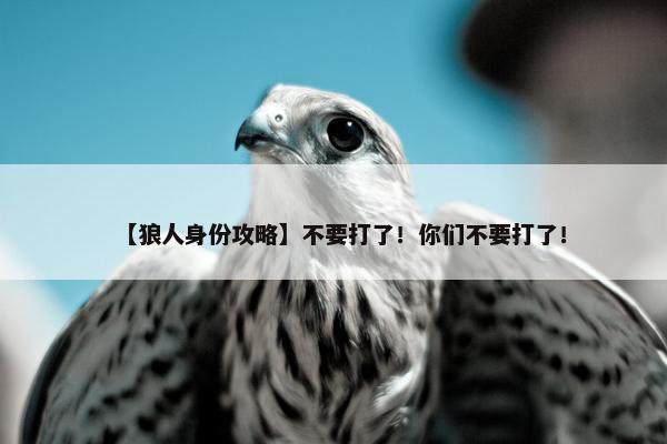 【狼人身份攻略】不要打了！你们不要打了！