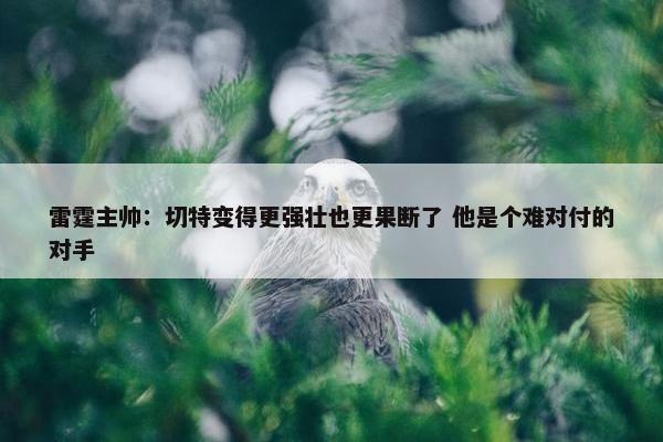 雷霆主帅：切特变得更强壮也更果断了 他是个难对付的对手