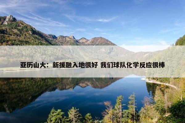 亚历山大：新援融入地很好 我们球队化学反应很棒