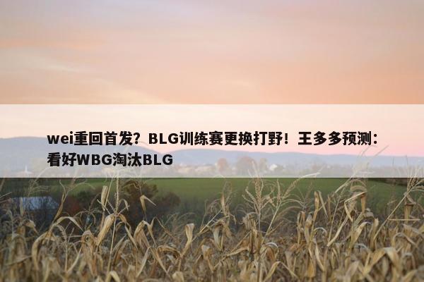 wei重回首发？BLG训练赛更换打野！王多多预测：看好WBG淘汰BLG