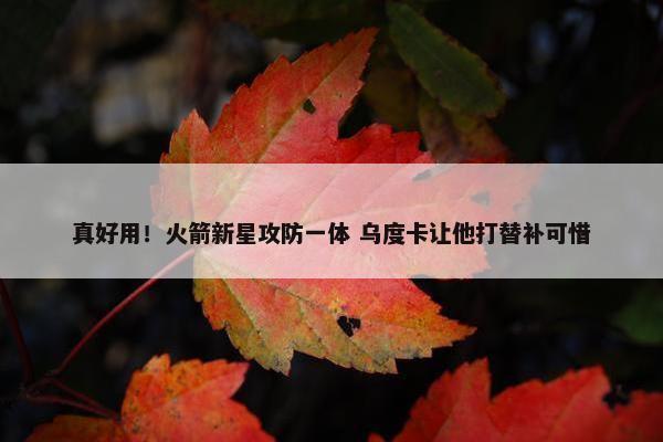 真好用！火箭新星攻防一体 乌度卡让他打替补可惜