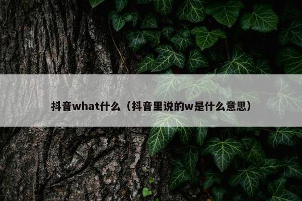 抖音what什么（抖音里说的w是什么意思）