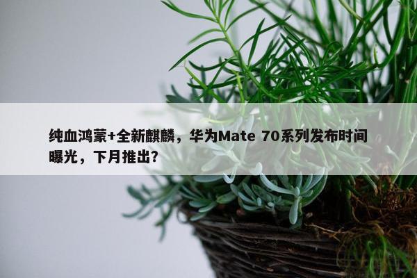 纯血鸿蒙+全新麒麟，华为Mate 70系列发布时间曝光，下月推出？