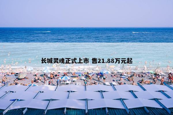 长城灵魂正式上市 售21.88万元起