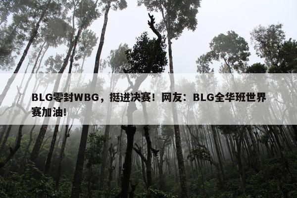 BLG零封WBG，挺进决赛！网友：BLG全华班世界赛加油！