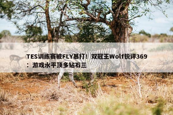 TES训练赛被FLY暴打！双冠王Wolf锐评369：游戏水平顶多钻石三