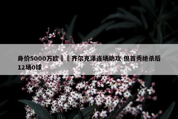 身价5000万欧‍️齐尔克泽连场助攻 但首秀绝杀后12场0球