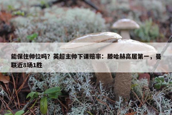 能保住帅位吗？英超主帅下课赔率：滕哈赫高居第一，曼联近8场1胜