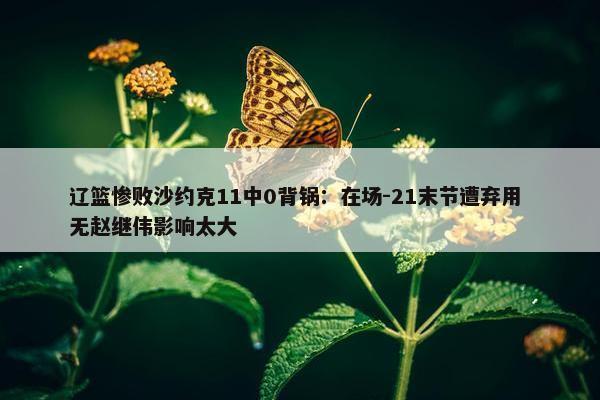 辽篮惨败沙约克11中0背锅：在场-21末节遭弃用 无赵继伟影响太大