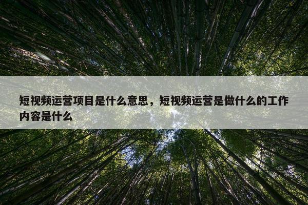 短视频运营项目是什么意思，短视频运营是做什么的工作内容是什么