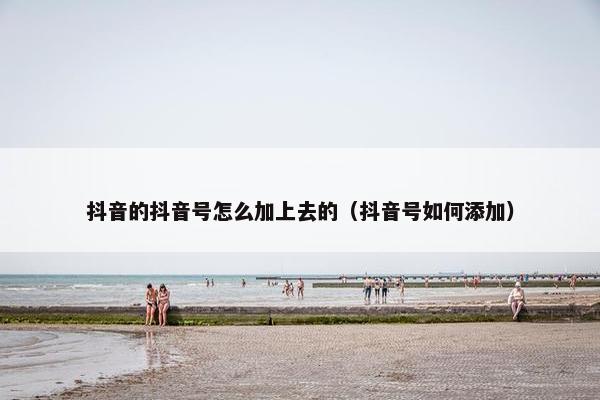 抖音的抖音号怎么加上去的（抖音号如何添加）