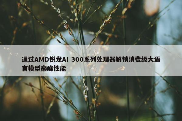 通过AMD锐龙AI 300系列处理器解锁消费级大语言模型巅峰性能