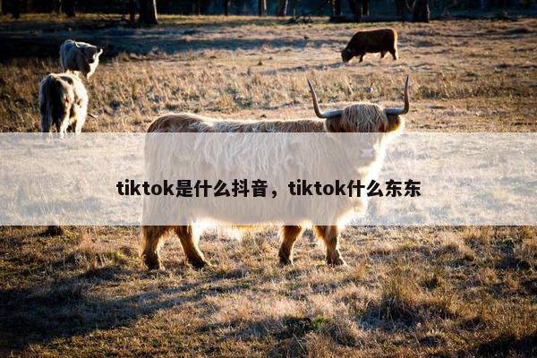 tiktok是什么抖音，tiktok什么东东