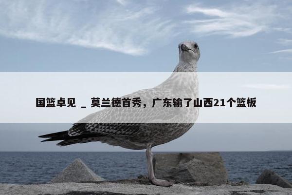 国篮卓见 _ 莫兰德首秀，广东输了山西21个篮板