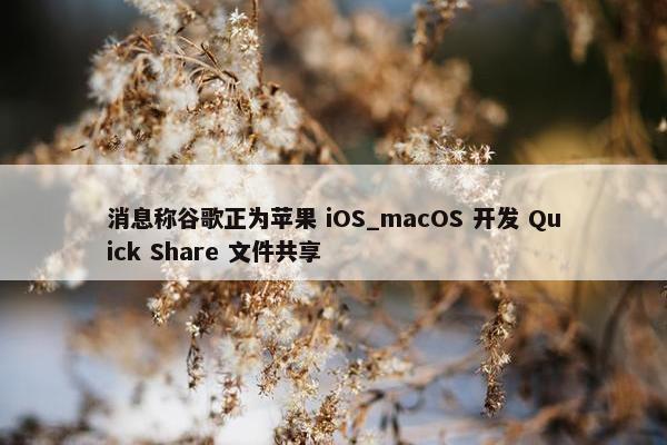 消息称谷歌正为苹果 iOS_macOS 开发 Quick Share 文件共享