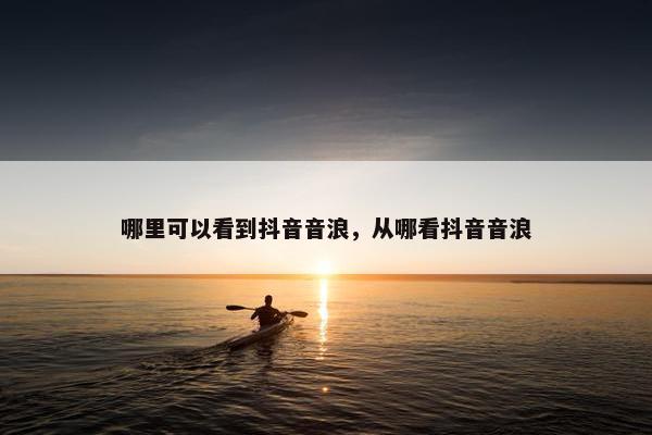 哪里可以看到抖音音浪，从哪看抖音音浪