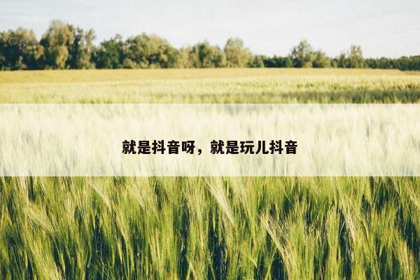 就是抖音呀，就是玩儿抖音